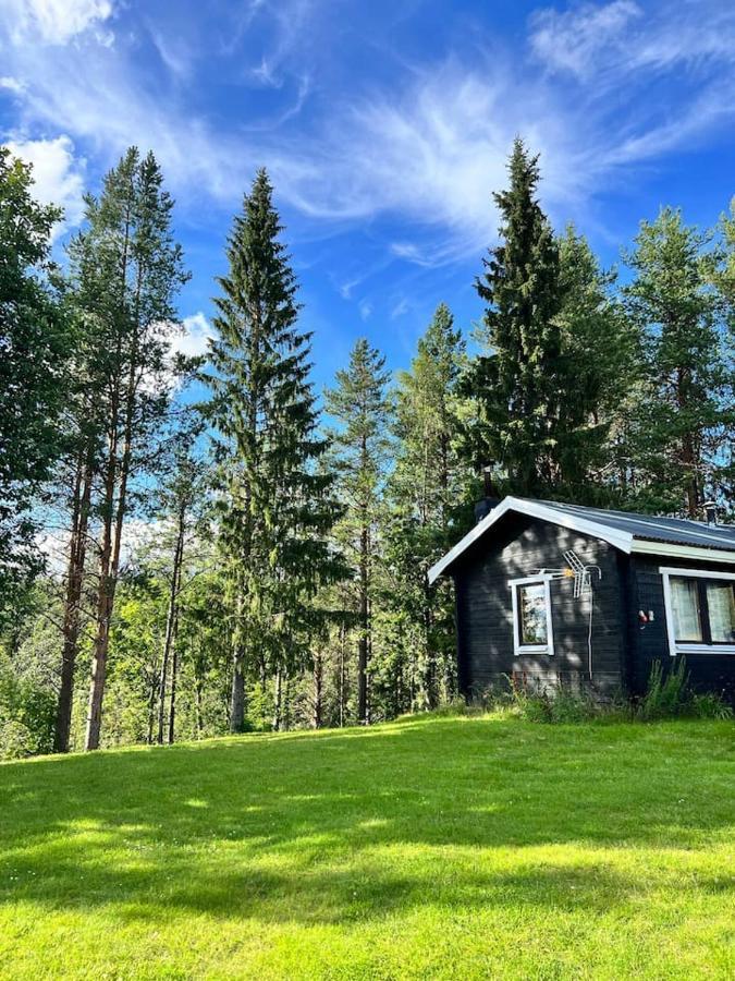 Gemuetliches Blockhaus Im Wald Villa Auktsjaur Exterior foto