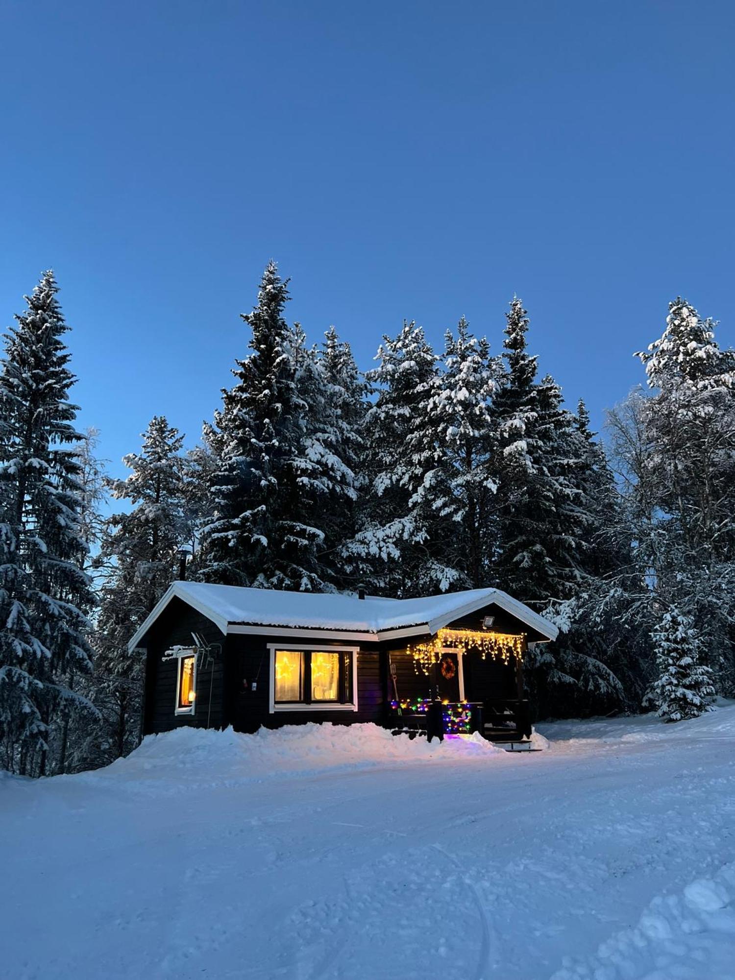 Gemuetliches Blockhaus Im Wald Villa Auktsjaur Exterior foto